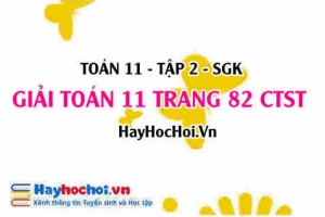Giải Toán 11 trang 82 tập 2 Chân trời sáng tạo
